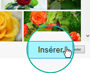 Sélectionner le bouton Insérer en bas à droite de la boîte de dialogue