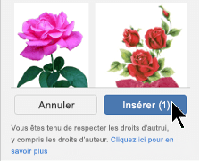 Sélectionner le bouton Insérer en bas à droite de la boîte de dialogue