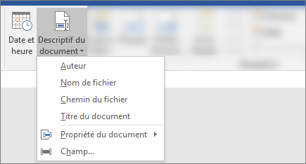 Capture d’écran montrant les boutons Informations sur le document et Date & Heure sur le ruban Word