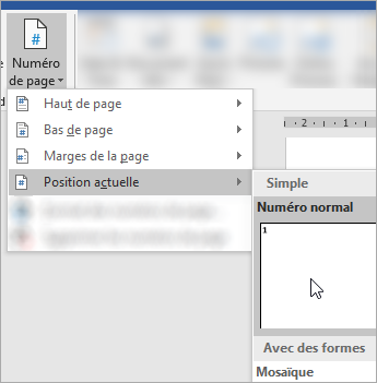 Capture d’écran montrant le choix du numéro de page au format brut à la position actuelle dans le document