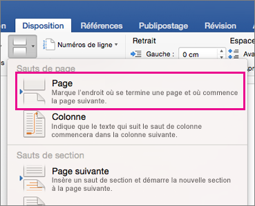 Layout Break menu with Page Break highlighted