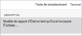Boîte de dialogue Texte de remplacement pour un fichier incorporé dans OneNote pour iOS.