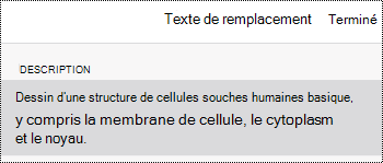 Boîte de dialogue Texte de remplacement pour les images dans OneNote pour iOS.