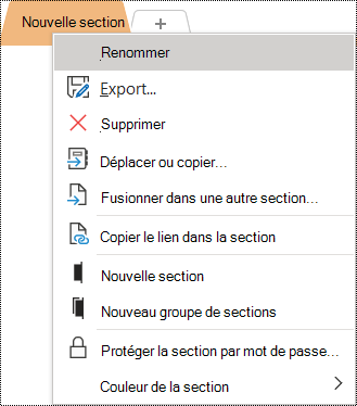 Capture d’écran du menu contextuel avec l’option Renommer sélectionnée.