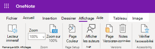 Contrôles Zoom dans l’application OneNote sur le Web.