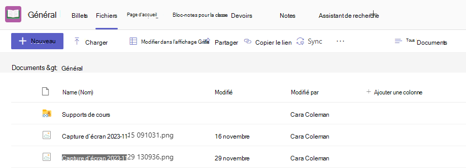 Capture d’écran de fichiers.