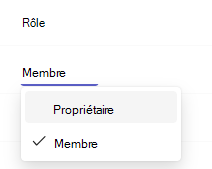 Capture d’écran montrant le propriétaire.