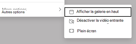 Capture d’écran des options d’affichage.