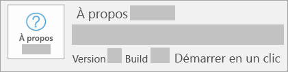 Capture d’écran montrant la version et la build en un clic