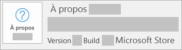 Capture d’écran montrant la version et la build du Microsoft Store