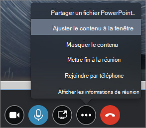 Capture d’écran montrant l’option Ajuster le contenu à la fenêtre