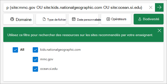capture d’écran montrant comment le filtre personnalisé apparaît aux étudiants lorsqu’il est activé