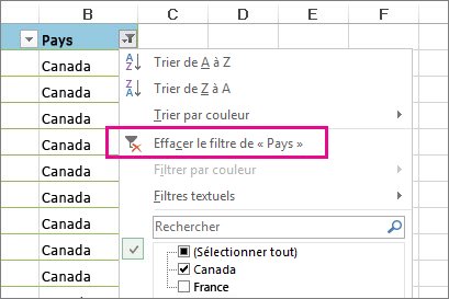 Bouton Effacer le filtre de