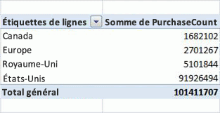 Exemple de tableau croisé dynamique