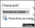 Paramètres de champ sur le ruban