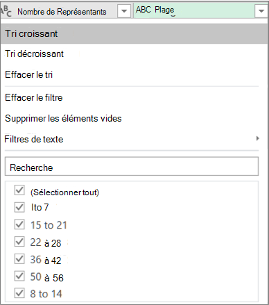 Utilisation du filtre automatique pour afficher les plages créées