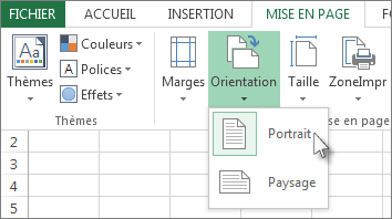 Sous l’onglet Accueil, cliquez sur Orientation