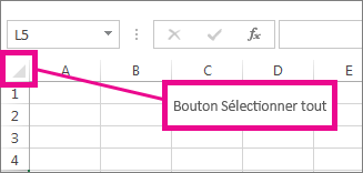 Bouton Sélectionner tout