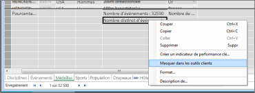 Masquer un champ dans PowerPivot