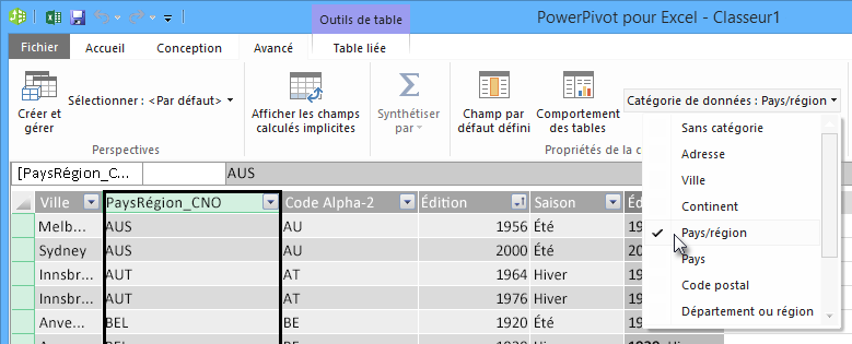 Catégories de données dans PowerPivot