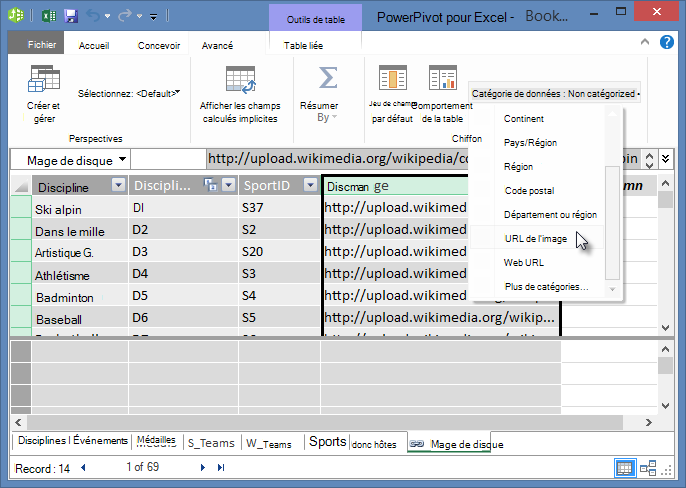 Définir la catégorie de données dans Power Pivot