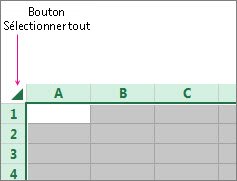 Bouton Sélectionner tout