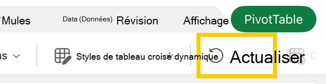 Bouton d’actualisation de tableau croisé dynamique dans le ruban sur iPad.