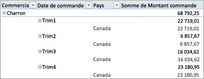 Tableau croisé dynamique sous forme de plan