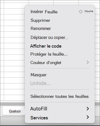 Menu Protéger le classeur non disponible MacOS