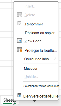 Les fonctions ne sont pas disponibles lorsque la protection des classeurs est activée