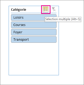 Choix de segments avec le bouton Sélection multiple mis en évidence