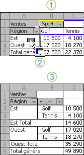 Exemple de modification de la disposition et du format d’un rapport de tableau croisé dynamique