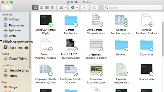 Capture d’écran de l’intégration du Finder sur Mac avec des superpositions de synchronisations pour les fichiers synchronisés