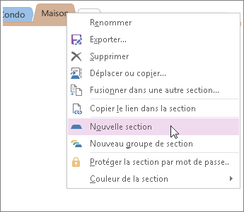 Ajoutez une nouvelle section dans OneNote.
