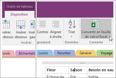 Capture d’écran du bouton Convertir en feuille de calcul Excel dans OneNote 2016