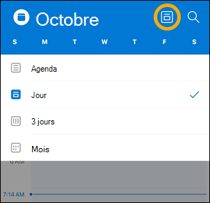Options du bouton d’affichage Calendar iOS