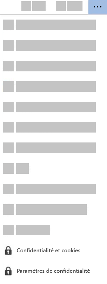 Capture d’écran montrant l’option Paramètres de confidentialité en mode affichage