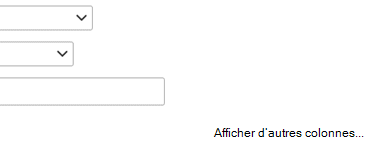 Si vous devez ajouter une autre entrée à votre définition de filtre, sélectionnez Afficher d’autres colonnes.