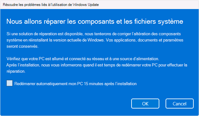 Capture d’écran de l’option de réinstallation Windows Update.