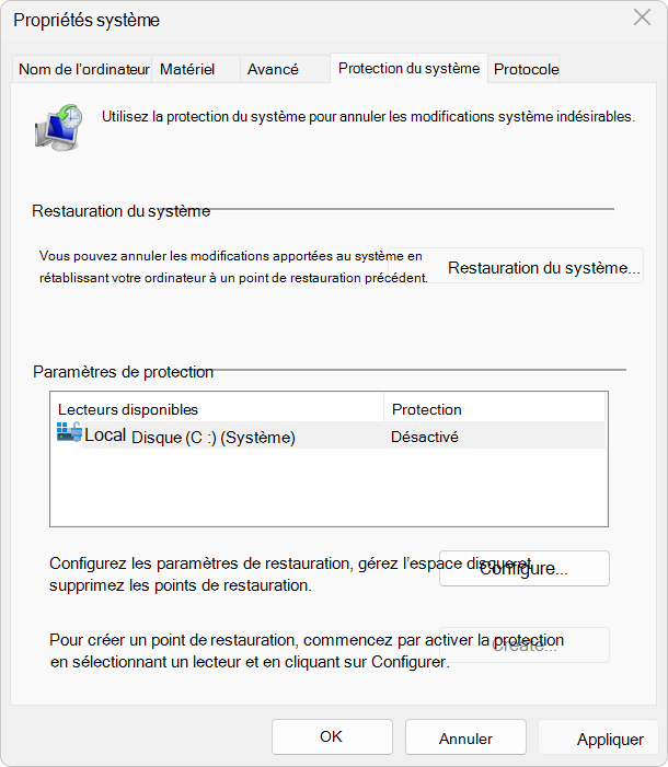 Capture d’écran des paramètres de protection du système.