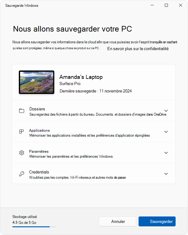 Capture d’écran de l’application Sauvegarde Windows dans Windows 11.