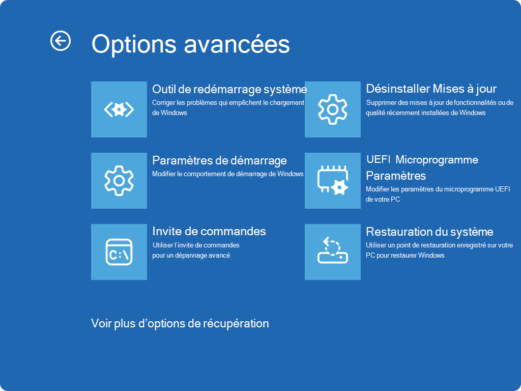 Capture d’écran de Windows RE - Options avancées.
