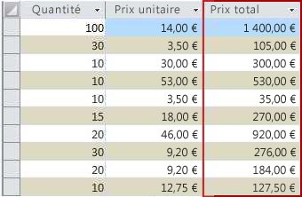 Un champ calculé, indiqué dans la vue de la feuille de données
