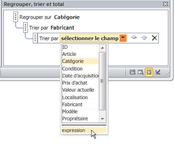 Choix de l'option d'expression dans le volet Groupe, Tri et Total