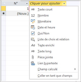 Partie d’un écran montrant la liste déroulante des types de données Cliquer pour ajouter
