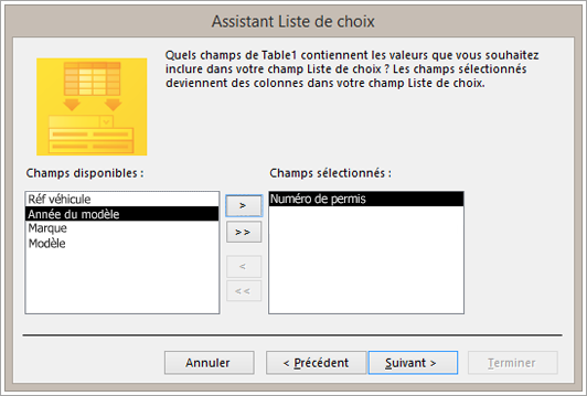 Partie d’un écran montrant l’Assistant Liste de choix