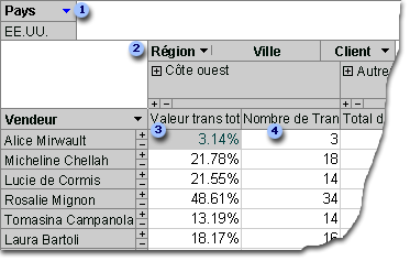 Vue tableau croisé dynamique
