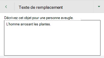 Boîte de dialogue Texte de remplacement dans Excel pour Android.