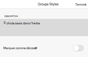 Boîte de dialogue Texte de remplacement dans Excel pour iOS.