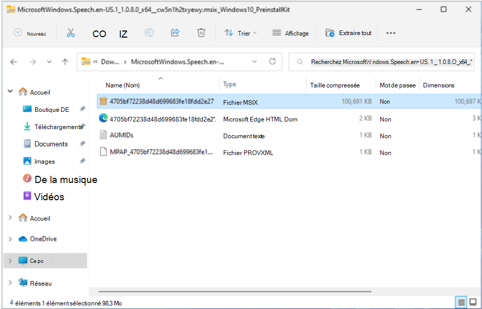 Fichier MSIX sélectionné dans le dossier compressé